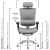 2. X-Chair X4 Leather Executive Chair (2)