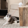 2. PetSafe Dancing Dot Laser Toy (1)