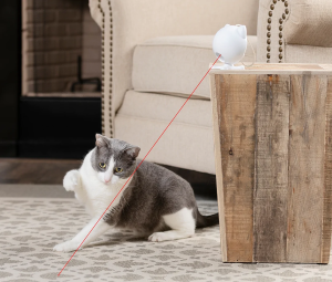 PetSafe Dancing Dot Laser Toy