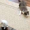 2. PetSafe Dancing Dot Laser Toy (5)