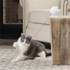 2. PetSafe Dancing Dot Laser Toy (7)