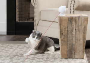 PetSafe Dancing Dot Laser Toy