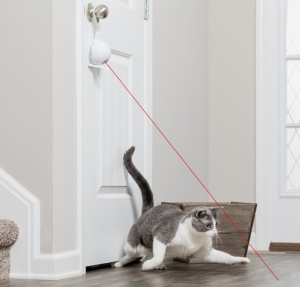 PetSafe Dancing Dot Laser Toy