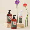 3. Dandylion Dog-Grooming Products (1)