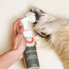 3. Dandylion Dog-Grooming Products (10)