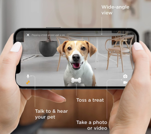 Petcube App