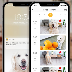 Petcube App