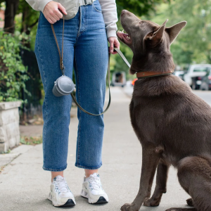 Slypod Dog Poop Caddy