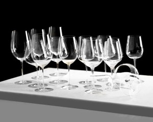 Glasvin Universal Wine Glass