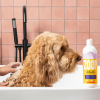 4. Zoop Pet Products (10)