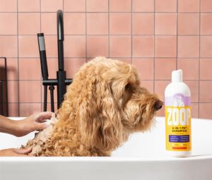 Zoop Pet Products