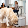 4. PetSafe Teach & Treat Remote Reward Trainer (4)