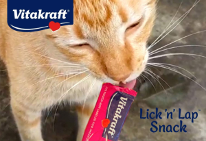 Vitakraft Lick 'N' Lap Snacks