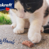 2. Vitakraft Lick ‘N’ Lap Snacks (12)