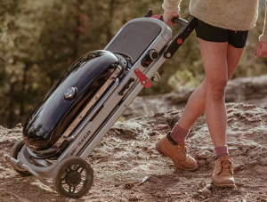 Weber Traveler Portable Gas Grill