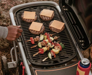 Weber Traveler Portable Gas Grill