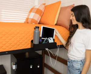 Squirrel Bedside Perch