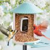 2. Birdfy Feeder (1)