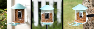 Birdfy Feeder