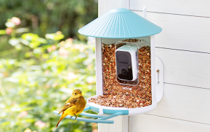 Birdfy Feeder