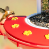 2. Birdfy Feeder (17)