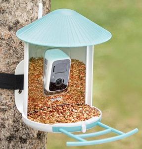 Birdfy Feeder