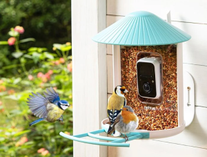 Birdfy Feeder