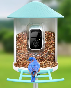 Birdfy Feeder