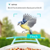 2. Birdfy Feeder (9)