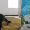 2. ökocat Original Premium Clumping Wood Cat Litter (6)