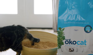 ökocat Original Premium Clumping Wood Cat Litter