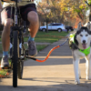 4. Bike Tow Leash (1)