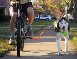 Bike Tow Leash