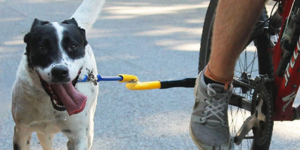 Bike Tow Leash