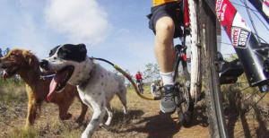 Bike Tow Leash