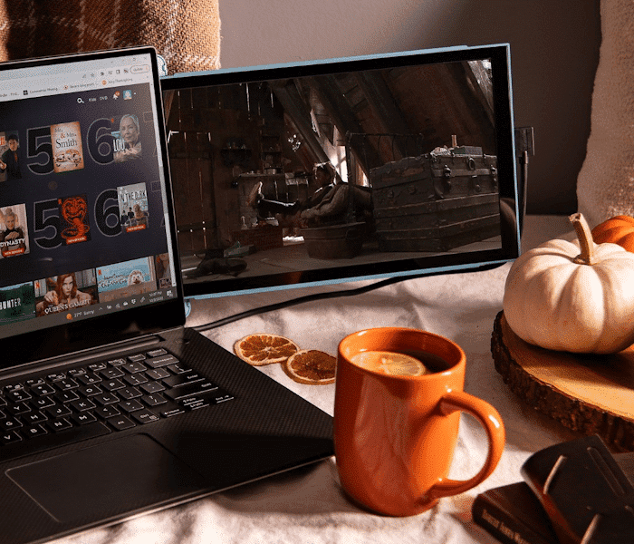 Portable Monitors