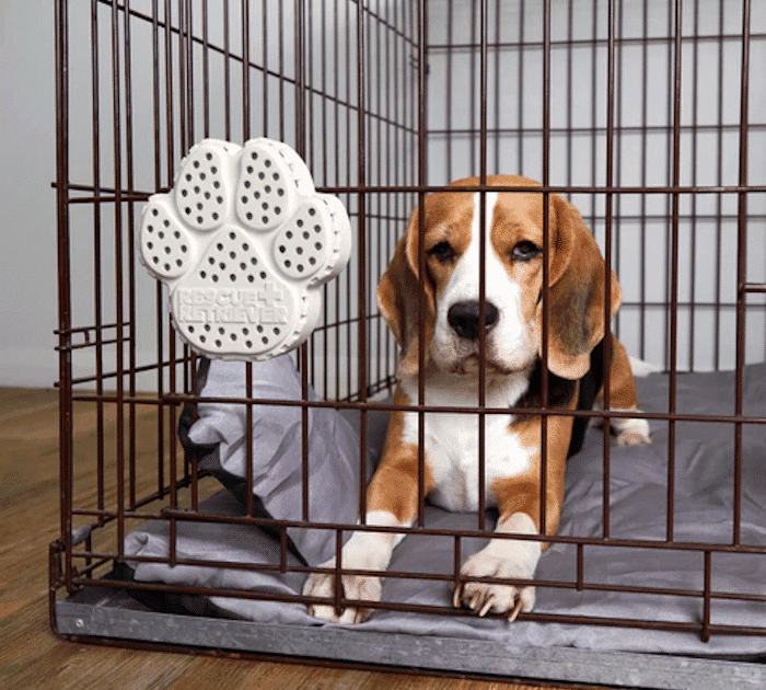 Rescue Retriever Smoke Alarm – Battery-Powered Smoke Detector for Pet Rescue