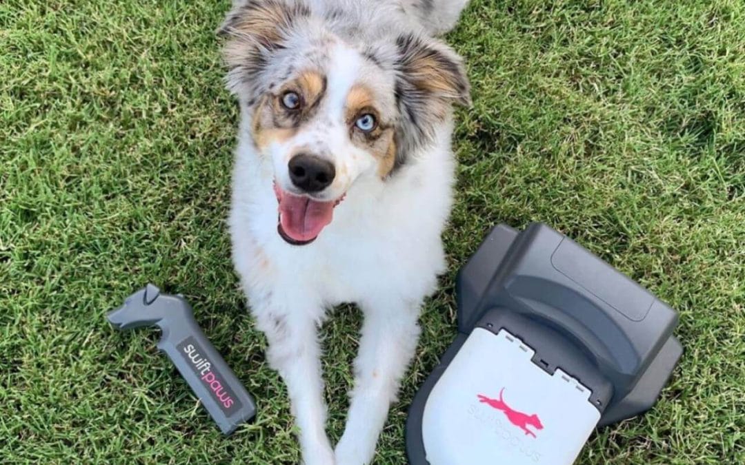 SwiftPaws Home Lure Coursing Machine – Safe-to-Use “Capture the Flag” toy for dogs