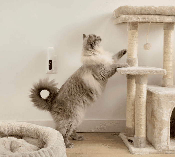 Zesty Paws Cat Calming Diffuser Starter Kit