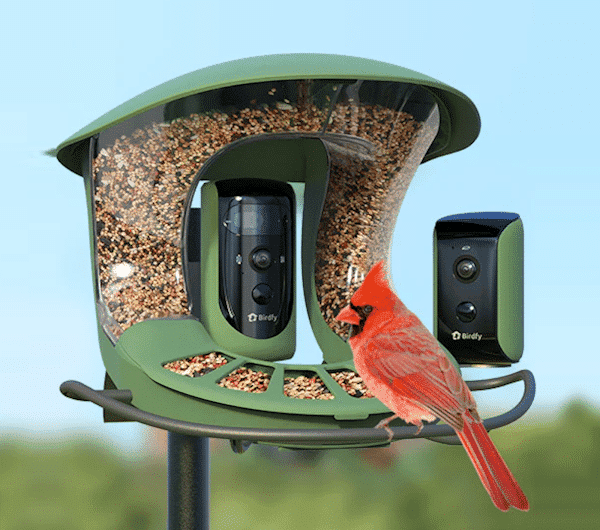 Birdfy Feeder 2 Duo – Smart Bird Feeder w/ Dual Cameras & AI Bird Recognition