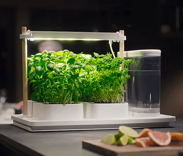 AUK Starter Kit – Fully-Automatic Indoor Smart Garden Kit