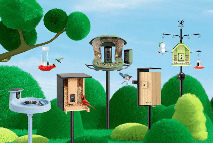 Birdfy Showcases Innovative AI-Powered Smart Bird Feeders at CES 2025