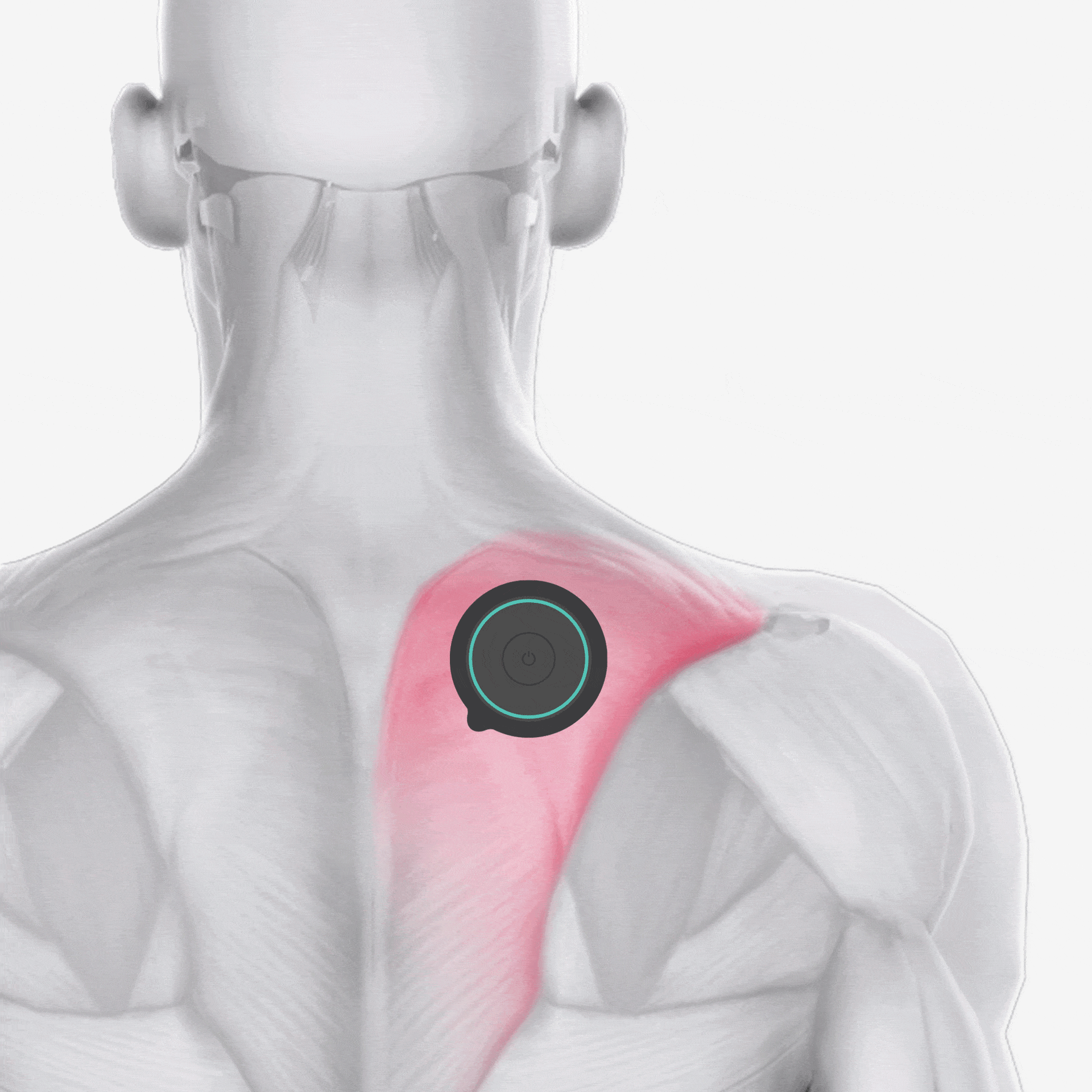 Uses electrical muscle stimulation (EMS) EMS therapy for healing injured muscles