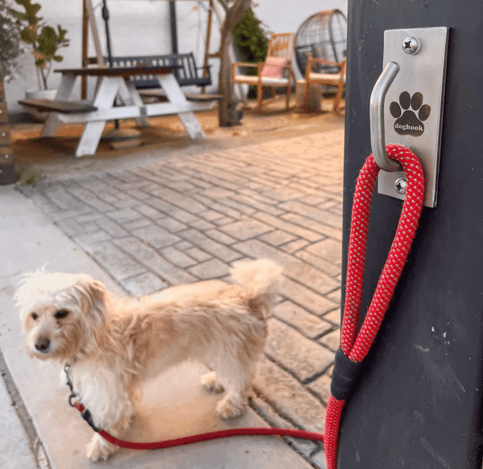 Doghook Standard