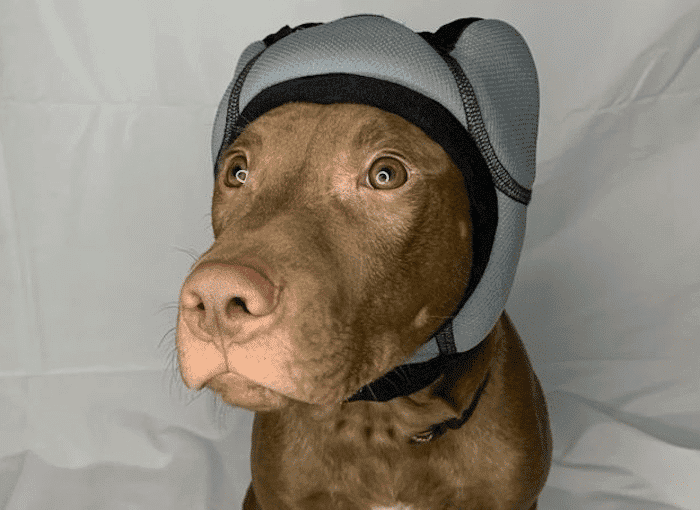 PAWNIX Noise-Cancelling Headset – Noise-Cancelling Headphones for Dogs