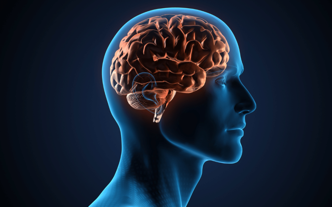 Tech Heads Aging Smart: Add This to Your Diet to Support Brain Health