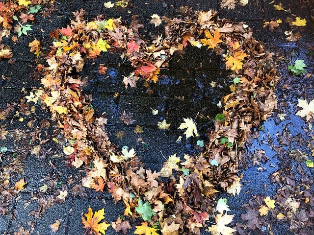 Noteworthy Ways to Enhance Autumn Life