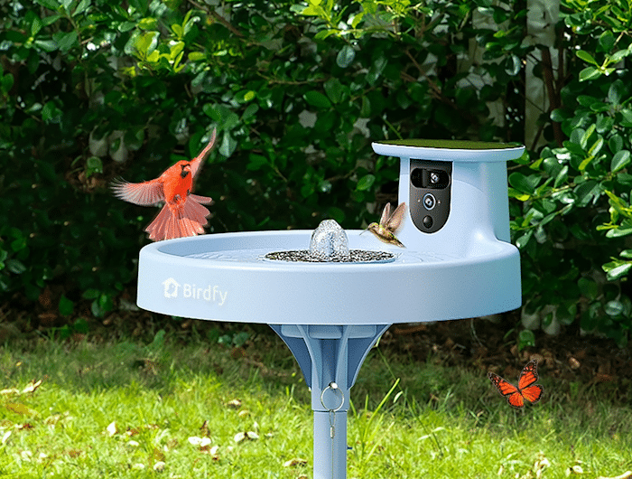 Birdfy Bath Pro – Solar-Powered Smart Bird Bath w/ Dual-Lens Camera & Fountain