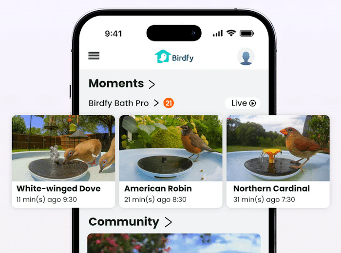 Birdfy App
