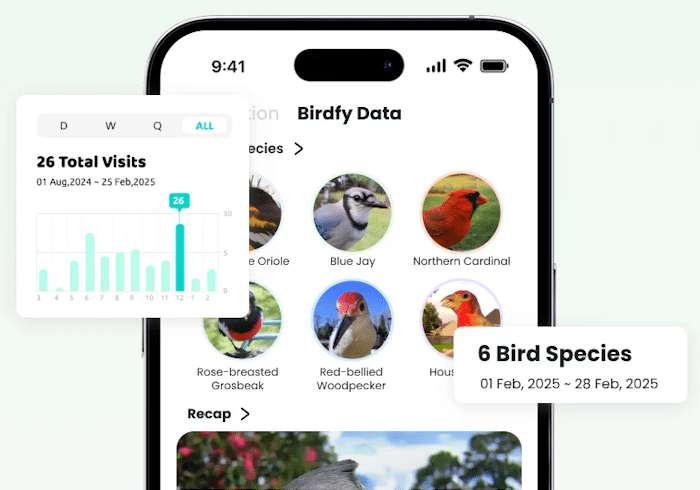 Birdfy App